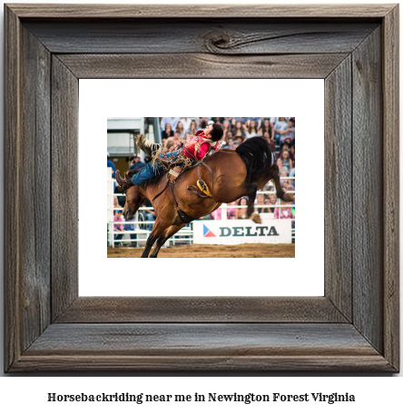 horseback riding near me in Newington Forest, Virginia